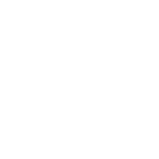 Skilled Professionals